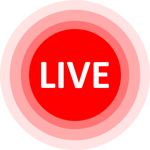 Webcam Undressing